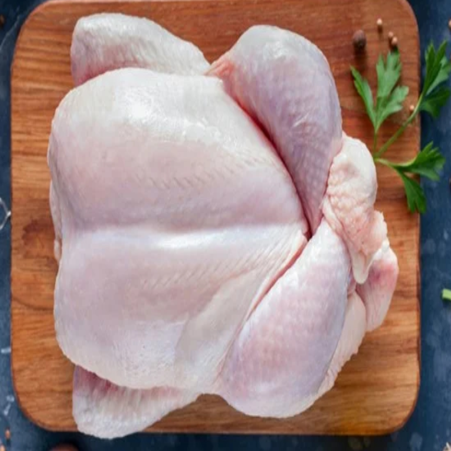 gal-ayam-potong-segar