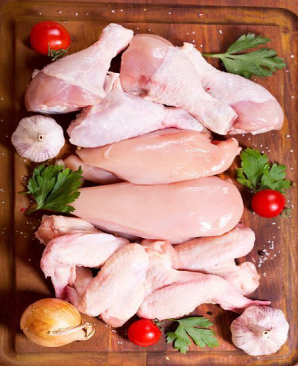 ayam potong hasil terbaik